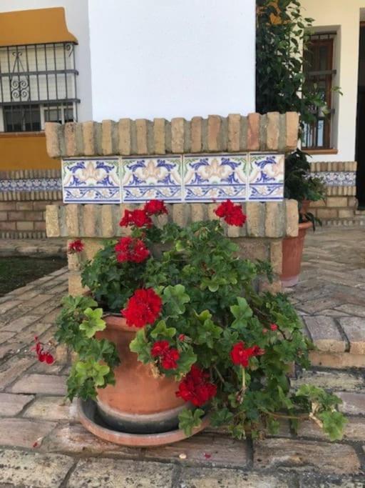 El Magnolio Villa Chiclana de la Frontera Kültér fotó